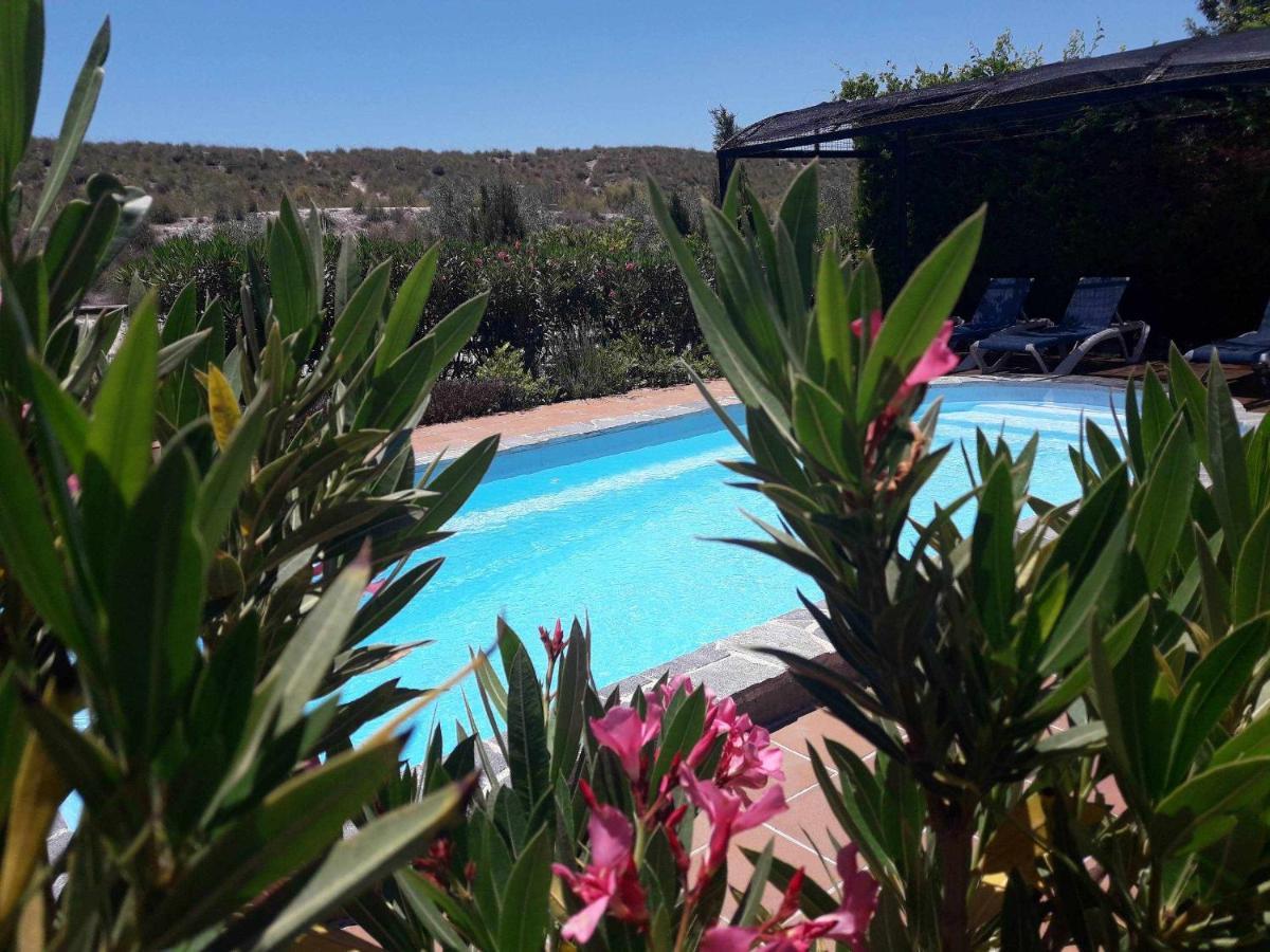 Cuevas Andalucia Guest House Baza Ngoại thất bức ảnh